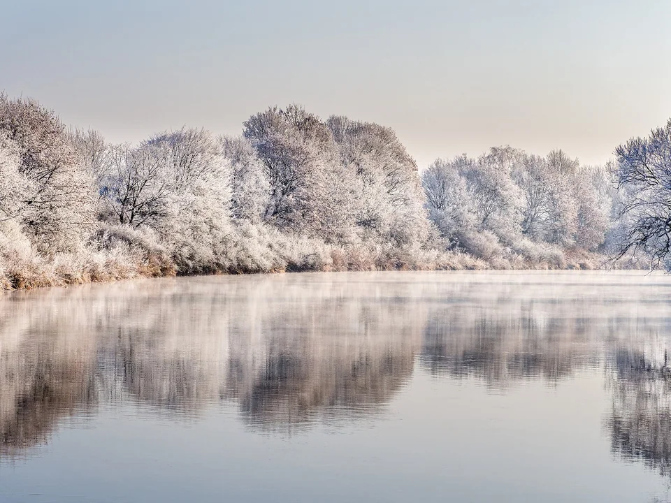 Raureif an der Regnitz – Winterliche Spiegelungen an der Regnitz zwischen Bamberg und Pettstadt.